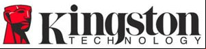 http://profesionalreview.mejorapp.org/web/images/Imagenes/logog/kingston_logo.jpg